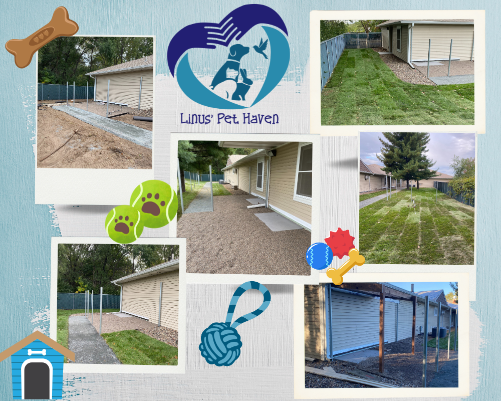 Collage of Linus' Pet Haven showing outdoor areas, fencing, and landscaping for pet care. Features playful graphics and a logo.